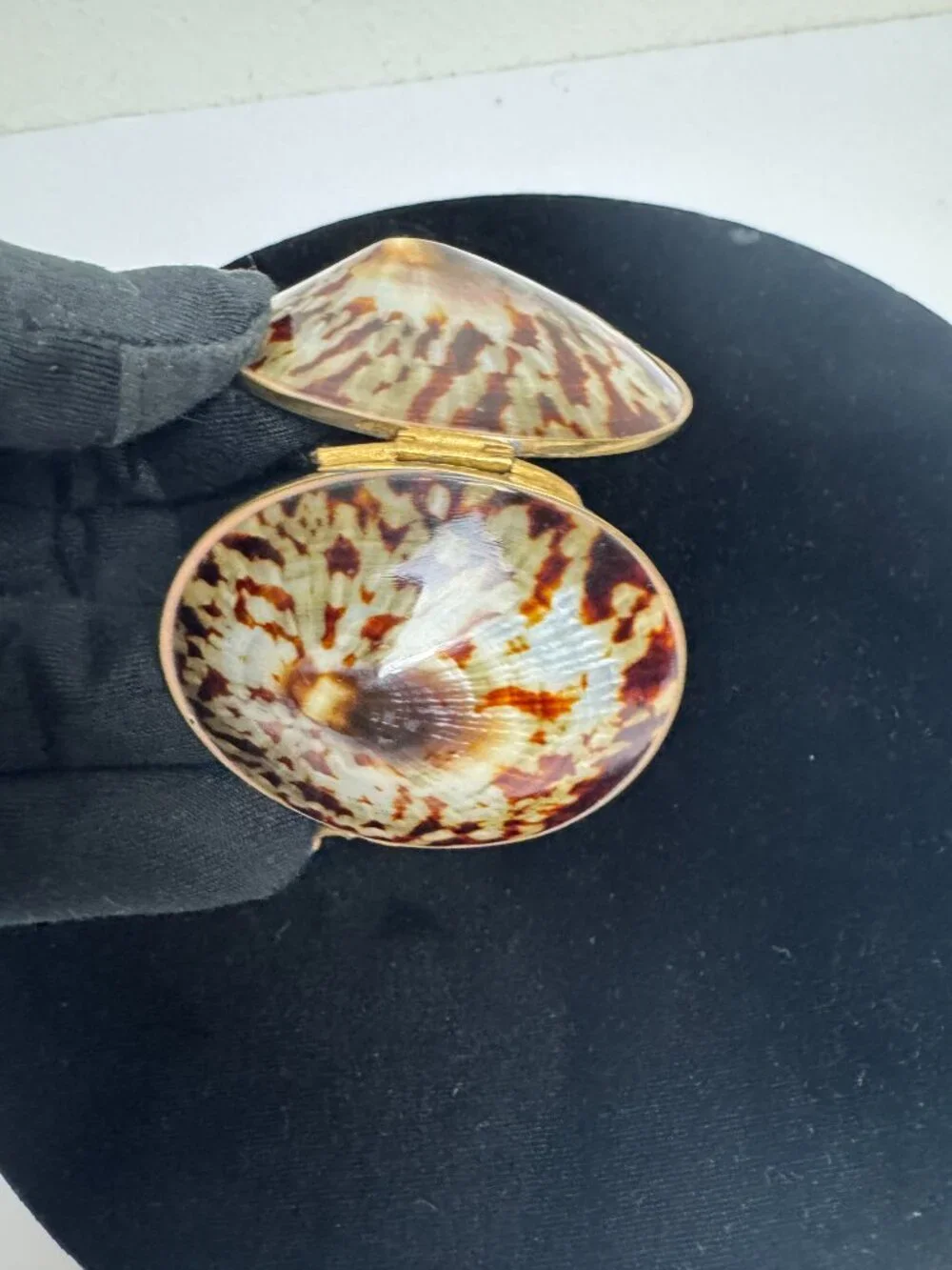 Shell trinket box with brass rim